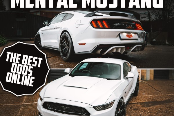Win the Mental Mustang!